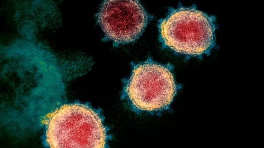 Έρευνες από ΗΠΑ, Ιταλία, Βραζιλία: Αυτές είναι οι αποδείξεις ότι ο Covid εξαπλώθηκε «υπογείως» σε όλο τον κόσμο στα τέλη 2019