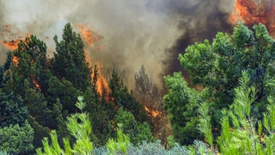 Ρόδος: Πυρκαγιά σε δασική έκταση