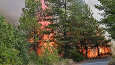 Συναγερμός στην Εύβοια - Νέα φωτιά σε δασική έκταση - Στην περιοχή πνέουν ισχυροί άνεμοι