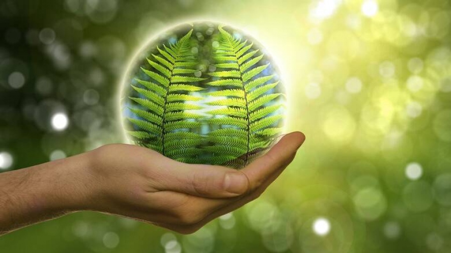 Τα 13 έργα πράσινης καινοτομίας και γαλάζιας ανάπτυξης που χρηματοδοτούνται στο πλαίσιο του «Business Innovation Greece»