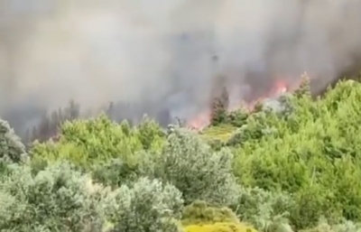 Φωτιά στην Εύβοια: Εκκένωση οικισμού – Ενισχύονται οι πυροσβεστικές δυνάμεις