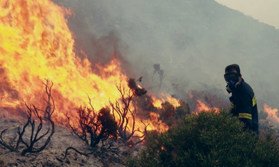 Μεγάλη πυρκαγιά μεταξύ Πεντέλης και Νέου Βουτζά - Κάηκαν σπίτια - Απομακρύνθηκαν παιδιά από κατασκηνώσεις