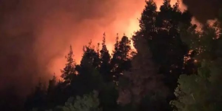 Υπό μερικό έλεγχο η πυρκαγιά στη Χαλκιδική – Παραμένουν στο σημείο οι πυροσβεστικές δυνάμεις