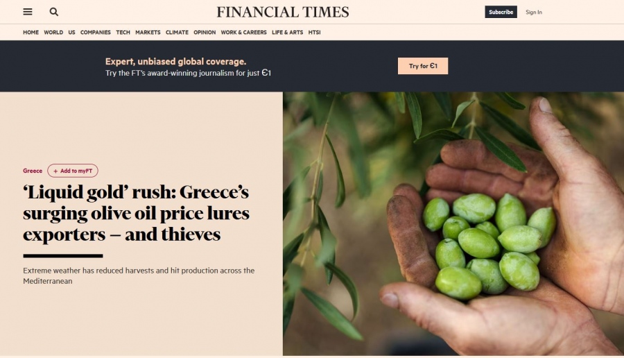 Το ελαιόλαδο ο… «υγρός χρυσός» της Ελλάδας για τους Financial Times: Η τιμή δελεάζει εξαγωγείς και κλέφτες!