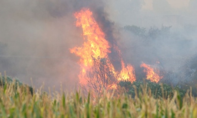 Υπό έλεγχο η φωτιά στην Παιανία, πίσω από τις παλιές εγκαταστάσεις του Alpha