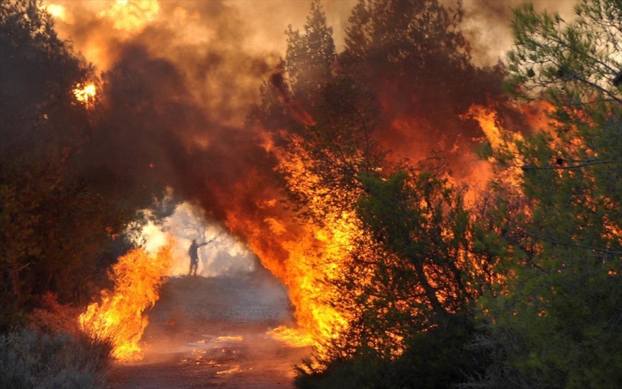 Ζάκυνθος: Μεγάλη πυρκαγιά στο χωριό Καμπί - Υπό μερικό έλεγχο η φωτιά στο Σχηματάρι
