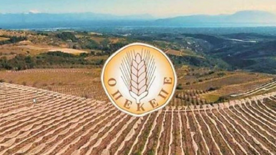 ΟΠΕΚΕΠΕ: Στις 11 οι προφυλακίσεις - Παραδέχτηκε την εμπλοκή του ο φερόμενος αρχηγός, τι υποστήριξε