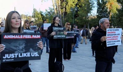 Αχρείαστη πρόκληση – Λαοθάλασσα… 23 λωτοφάγων ακτιβιστών διαμαρτυρήθηκε στο Σύνταγμα για τις… σούβλες