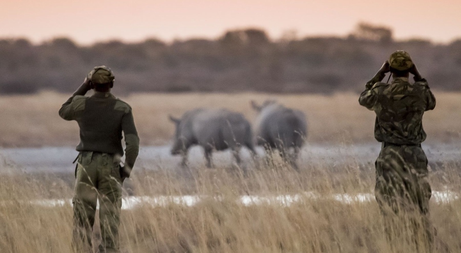 South African Ranger rifle, a rifle that protects wildlife
