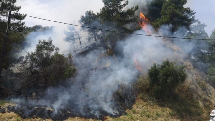Φωτιά στη Νέα Ραιδεστό Θεσσαλονίκης – Δεν απειλείται κατοικημένη περιοχή