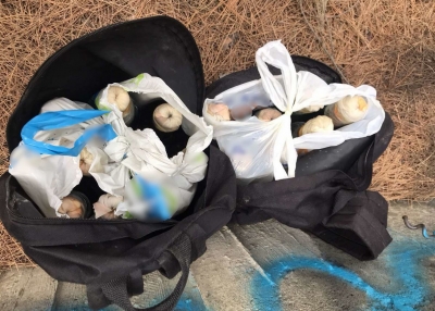 Πάτρα: Η ΕΛ.ΑΣ. εντόπισε σε δασώδη περιοχή στο Δασύλλιο κρυμμένα σακίδια με 17 μολότοφ