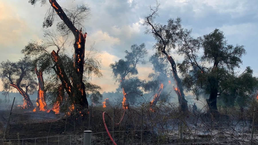 Κέρκυρα: Σύλληψη 76χρονου για την πυρκαγιά στις Αλυκές Λευκίμμης