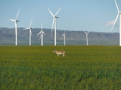 ΤΕΝΕΡΓ: Πώληση του αιολικού πάρκου Mountain Air στις ΗΠΑ - Στα 215 εκατ. δολ. το τίμημα
