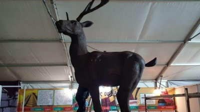 Το μεγαλύτερο σοκολατένιο ελάφι του κόσμου βρίσκεται στην Κατερίνη - Χρειάστηκαν 120 κιλά κουβερτούρας και διεκδικεί ρεκόρ Γκίνες