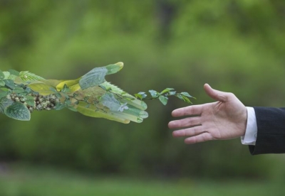 Έρευνα EY : Οι επενδυτές δίνουν σημασία στο οικοσύστημα των μικρομεσαίων επιχειρήσεων