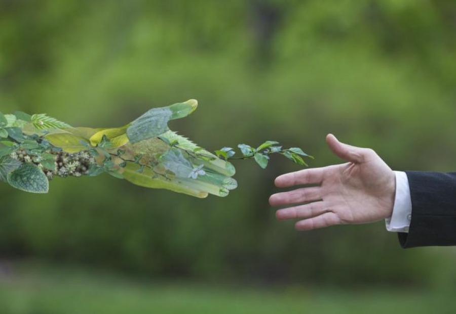 Έρευνα EY : Οι επενδυτές δίνουν σημασία στο οικοσύστημα των μικρομεσαίων επιχειρήσεων