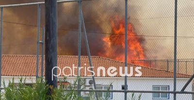 Μεγάλη πυρκαγιά στην Ηλεία – Οι φλόγες μία ανάσα από τα σπίτια