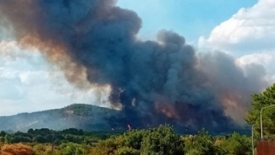 Συναγερμός στην Πυροσβεστική για μεγάλη φωτιά σε δάσος στο Στεφάνι Κορινθίας