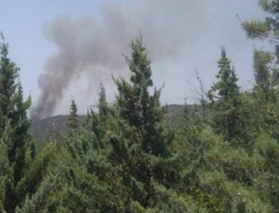 Φωτογραφία – ντοκουμέντο από το Σέιχ Σου – Έκαναν… μπάρμπεκιου μέσα στο δάσος