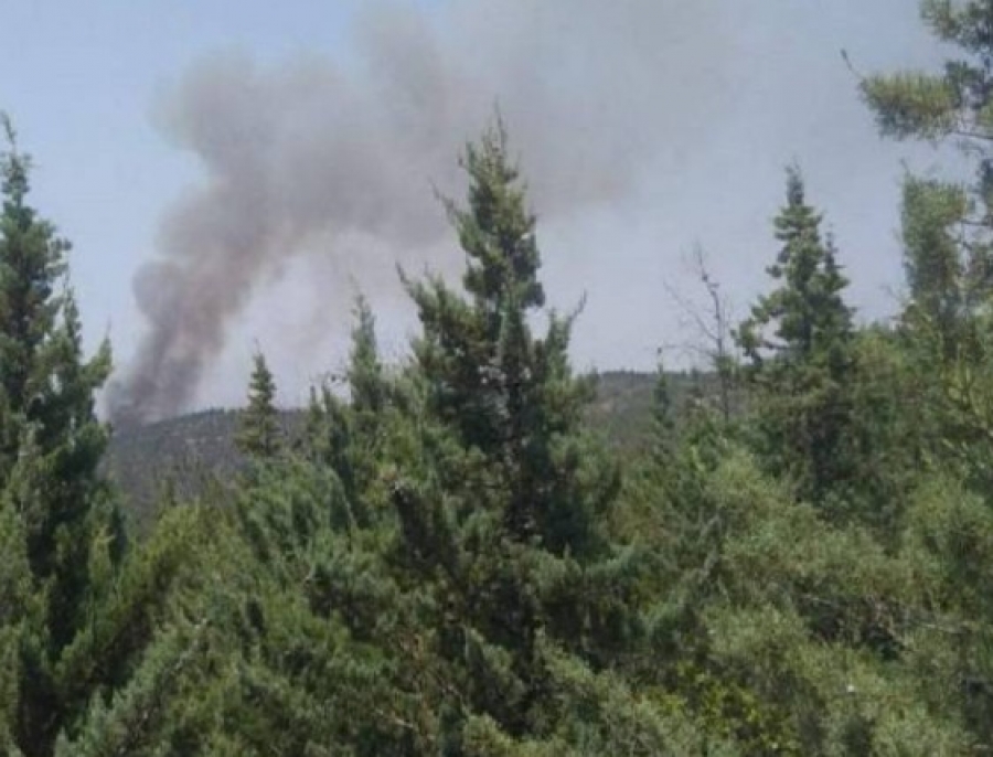 Φωτογραφία – ντοκουμέντο από το Σέιχ Σου – Έκαναν… μπάρμπεκιου μέσα στο δάσος