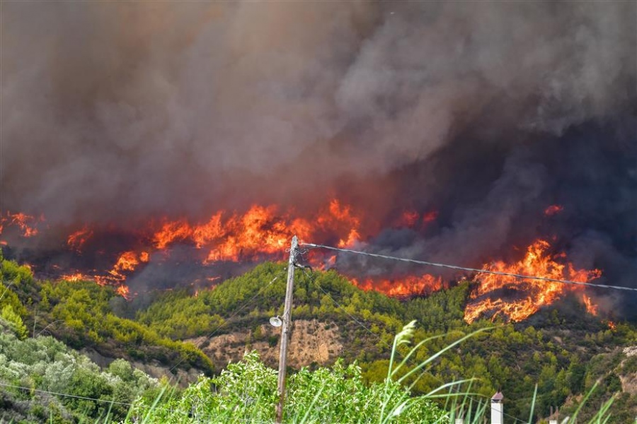 Προσαγωγή  υπόπτου για το μπαράζ των πυρκαγιών στην Ηλεία