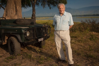 Dynasties: η πολυαναμενόμενη σειρά ντοκιμαντέρ του BBC Earth έρχεται στην COSMOTE TV