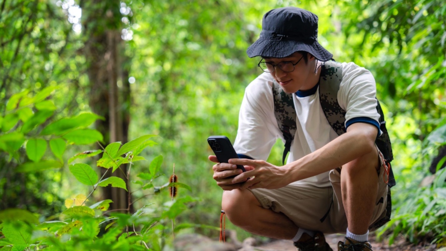 Αδιανόητο - «Εξαφανισμένο» φυτό επιστρέφει μετά από 60 χρόνια – Η ανακάλυψη που ξεκίνησε από μια φωτογραφία στο κινητό