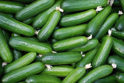 Εντοπίστηκε σαλμονέλα στα... αγγούρια