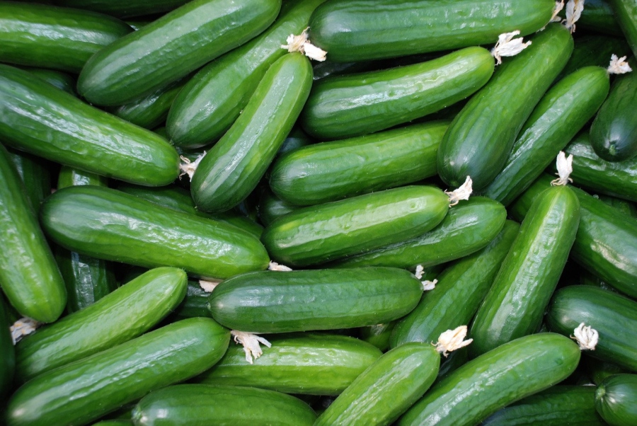 Εντοπίστηκε σαλμονέλα στα... αγγούρια