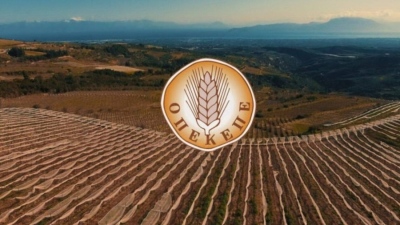 ΟΠΕΚΕΠΕ: Πληρωμές 780 εκατ. ευρώ σε αγρότες - Αυγενάκης: Είμαστε συνεπείς στο χρονοδιάγραμμα