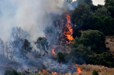 Εικόνες καταστροφής από τη φωτιά στην Εύβοια