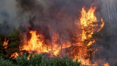 Ρέθυμνο: Για οργανωμένο σχέδιο πυρκαγιών μιλά ο δήμαρχος Αγίου Βασιλείου
