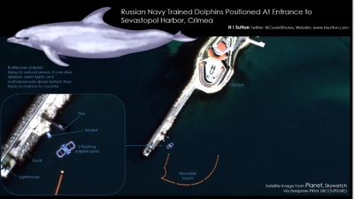 Η Ρωσία εκπαιδεύει... δελφίνια στη Μαύρη Θάλασσα για στρατιωτικούς σκοπούς