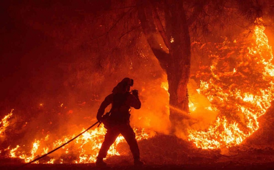 Μέσα σε 24 ώρες εκδηλώθηκαν 56 πυρκαγιές σε όλη την Ελλάδα