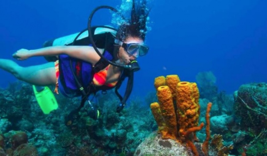 Ανοίγει ο δρόμος για τον Καταδυτικό Τουρισμό