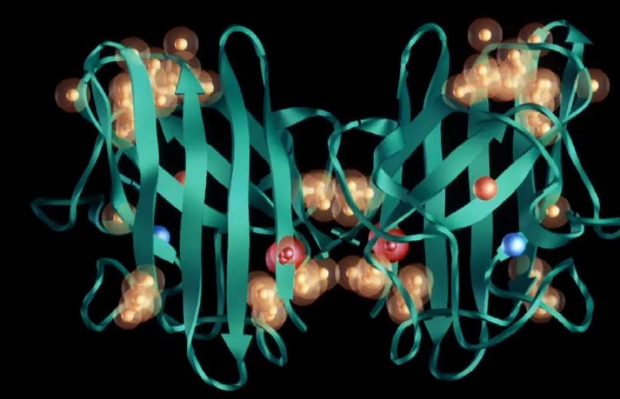 Πρωτοποριακή επιστημονική ανακάλυψη: Αυτό είναι το ένζυμο που αυξάνει την πιθανότητα θανάτου στους ασθενείς με Covid
