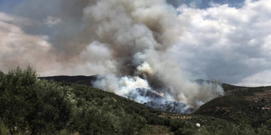 Υπό έλεγχο η φωτιά στη Σαλαμίνα – Δεν απειλήθηκαν κατοικίες