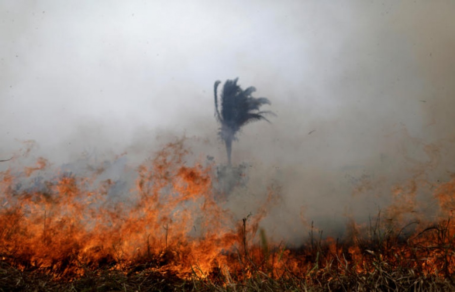Δίχως τέλος η καταστροφή στον Αμαζόνιο, 2.000 νέες φωτιές