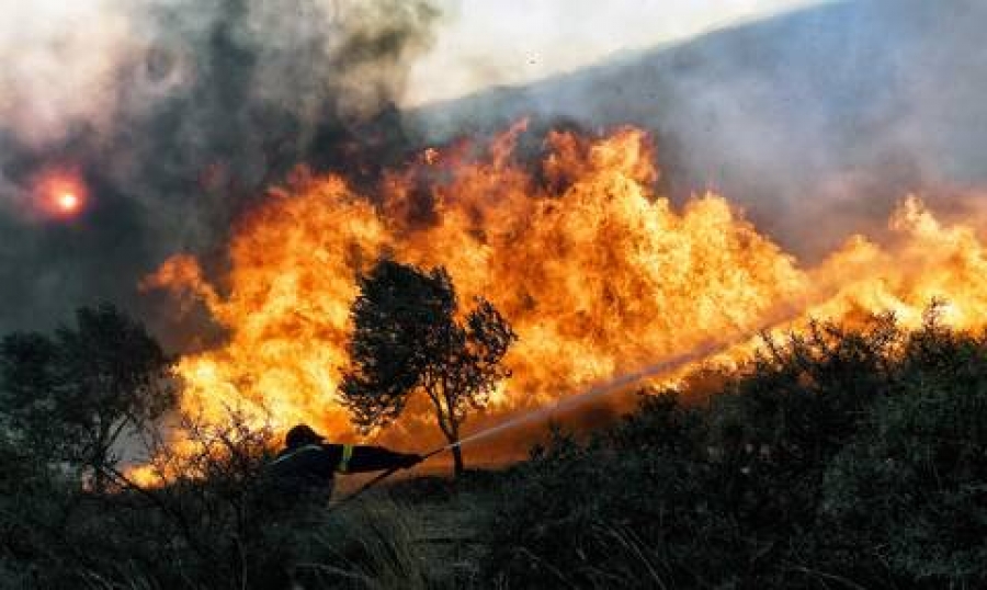 Σε ύφεση ο πύρινος εφιάλτης σε Βίλια και Κάρυστο - Εκκενώσεις οικισμών, κάηκαν σπίτια