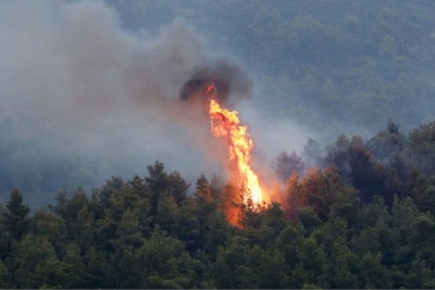 Σε εξέλιξη πυρκαγιά στην Αρχαία Κόρινθο - Επιχειρούν ισχυρές δυνάμεις της Πυροσβεστικής