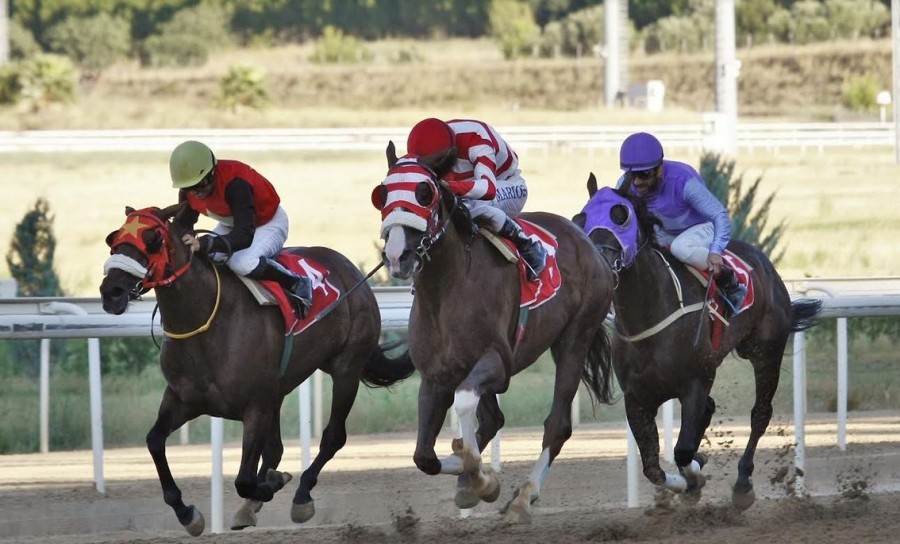 Markopoulo Park: Έντεκα καθαρόαιμοι ίπποι διεκδικούν το Κριτήριο Τριετών