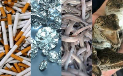 ΑΑΔΕ: Χρήματα,όπλα, διαμάντια, χέλια και… κροκόδειλοι δεσμεύτηκαν στα τελωνεία το 2017