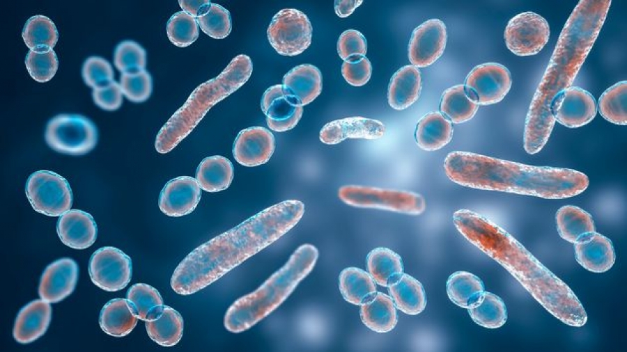 Πάνω από 1,2 εκατ. θάνατοι το 2019 λόγω υπερ-βακτηρίων ανθεκτικών στις αντιβιώσεις