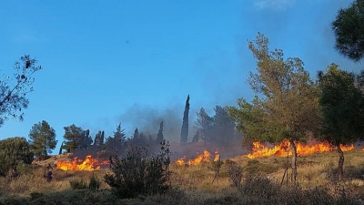 Υπό έλεγχο η φωτιά που ξέσπασε μέσα στο 'Αλσος Βεΐκου στο Γαλάτσι