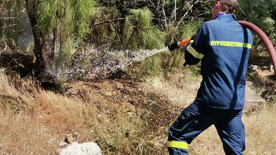 Πυρκαγιά και στη Βοιωτία - Στο σημείο επιχειρούν 24 πυροσβέστες