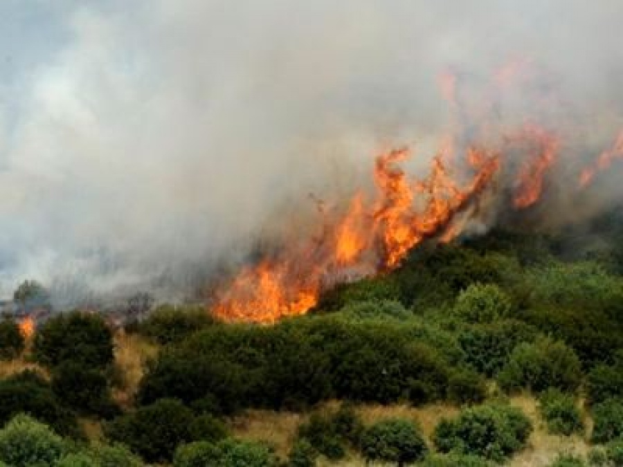 Ζάκυνθος: Υπό μερικό έλεγχο οι φωτιές στα  χωριά Καλαμάκι και Λιθακιά