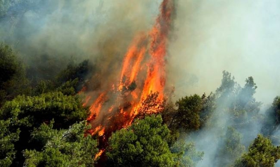 Σε ύφεση η πυρκαγιά στην Κέρκυρα - Επιστρέφουν στις εστίες τους οι κάτοικοι