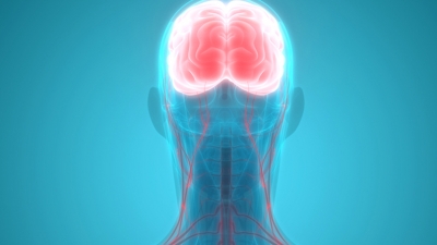 Τι προσφέρει η μικροχειρουργική αποκατάσταση περιφερικών νεύρων;