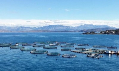 Αμφισβητείται η έκθεση αποτίμησης στην υποχρεωτική δημόσια πρόταση της Νηρεύς