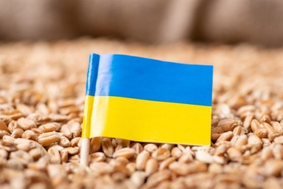 Οι Ουκρανοί αφήνουν τα πολυβόλα και πιάνουν τα δρεπάνια για να θερίσουν σιτάρι